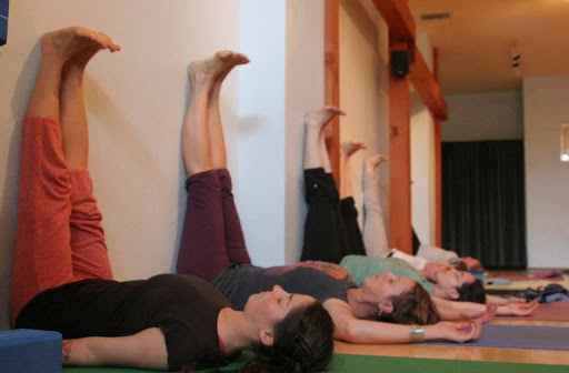 Dysautonomia's tweet photo. Check out the dysautonomia-friendly exercise tips on our website, everything from the CHOP Modified Dallas Protocol, to reclined exercise videos, to advice on what to do if you're bedridden and exercise seems totally impossible.
https://t.co/ODUiqfcJTz https://t.co/QTSixBk5o7
