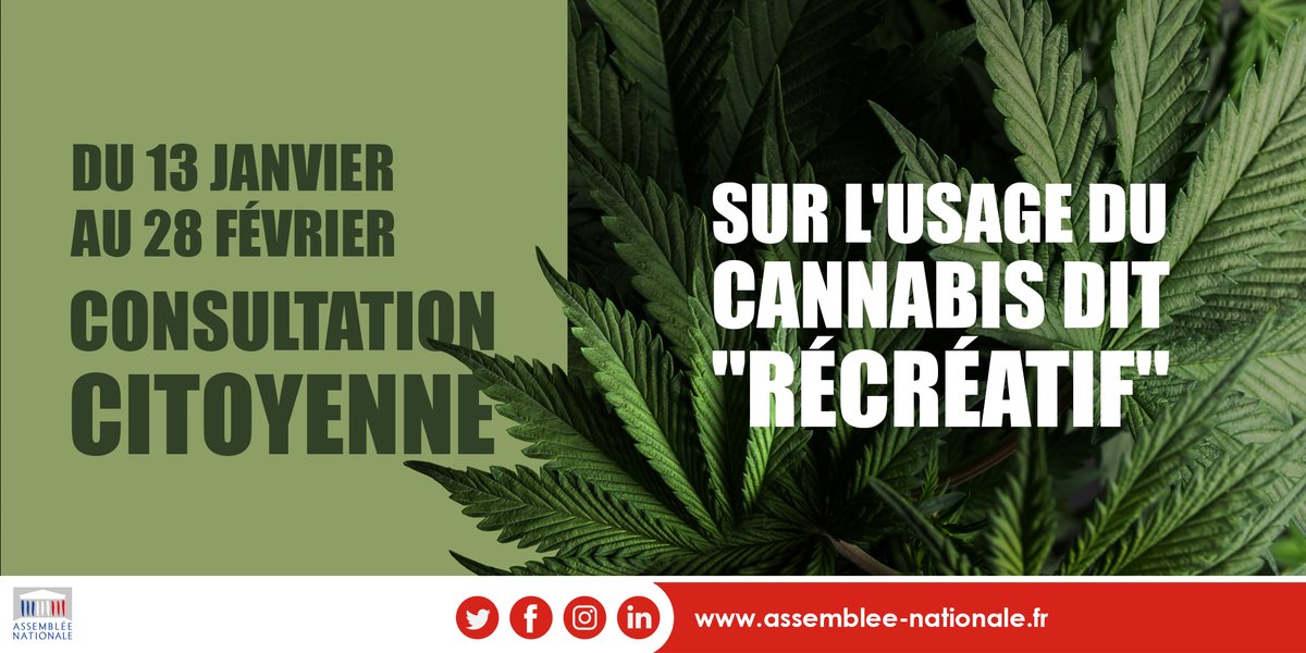 AssembleeNat's tweet photo. #Cannabis | Jusqu'au 28 février, tous les citoyens sont invités à participer à la consultation citoyenne sur l'usage "récréatif" du cannabis.
Donnez votre avis 👉 https://t.co/lRhwiAat94
#DirectAN #ConsultationCitoyenne https://t.co/4V4aA823Tp