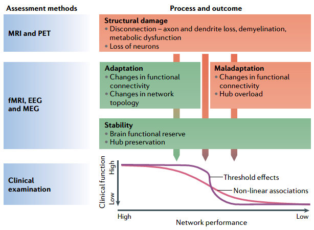 NatRevNeurol's tweet photo. New Review by Declan Chard at @QSMSCENTRE and colleagues: Mind the gap: from neurons to networks to outcomes in multiple sclerosis https://t.co/TsDSXMEbh1 #newfromnrneurology https://t.co/AshtVFIm2G
