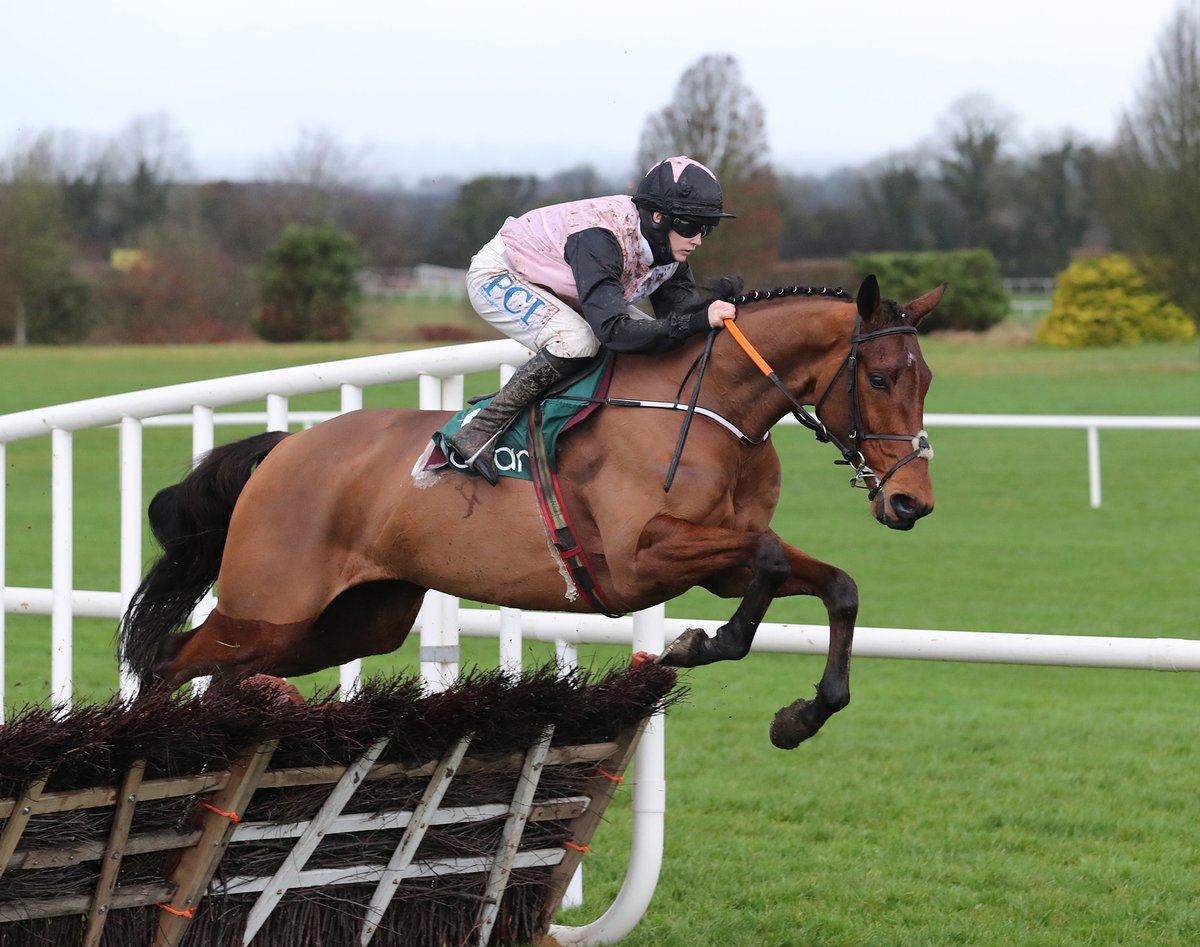 Bob Olinger wins the Grade 1 Lawlor's Of Naas Novice Hurdle in the hands of Rachael Blackmore for Henry de Bromhead 👏

Does he look like the Ballymore winner to you? 👀