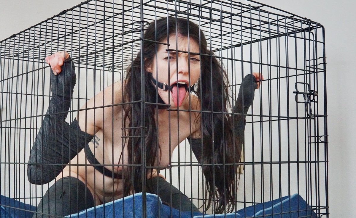 fettered_V's tweet photo. Keeping the household bitch right where she belongs when not in use.
#bdsm #bondage #puppyplay #gagged #vetwrap #ringgag #caged https://t.co/EMpxzs4lfp