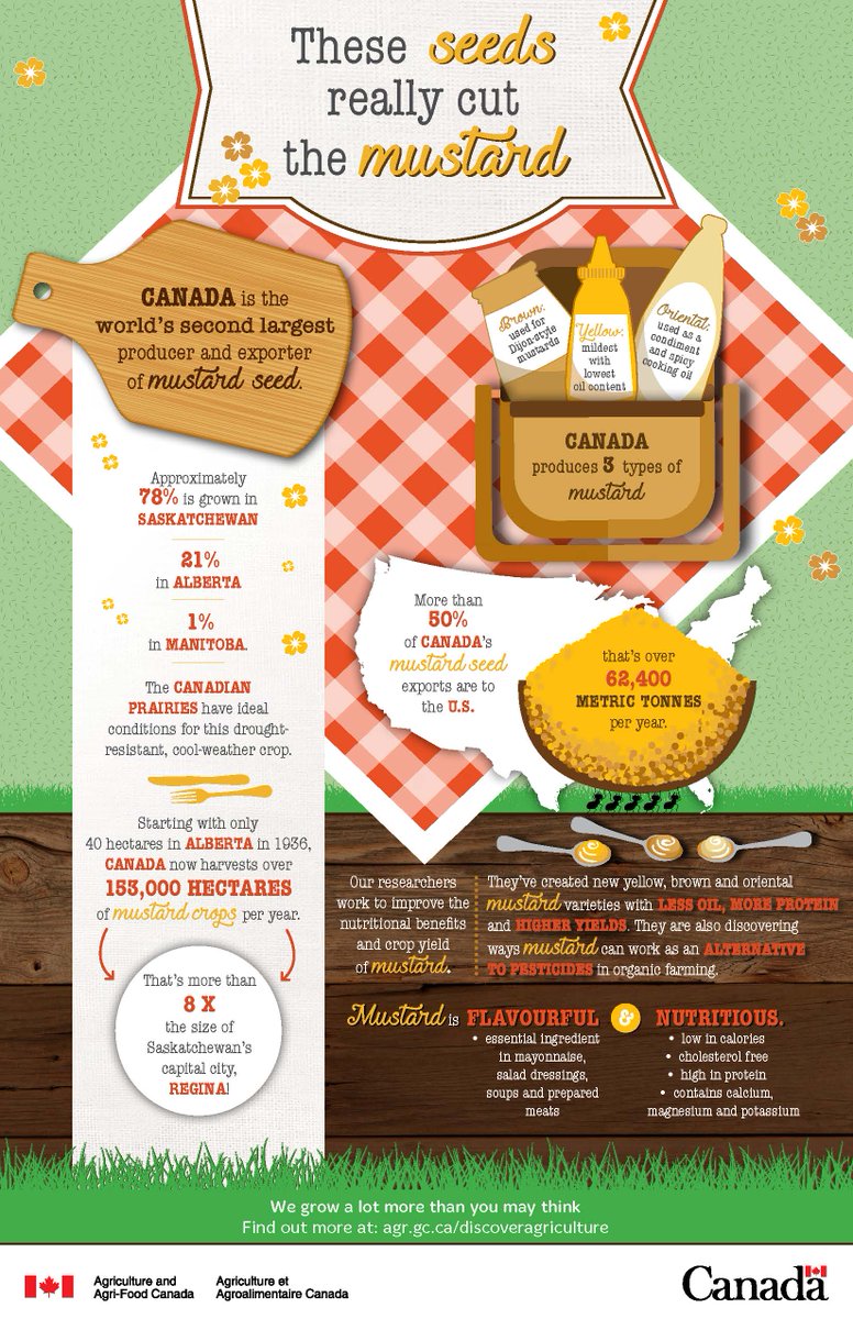 Splendor Garden tweet media