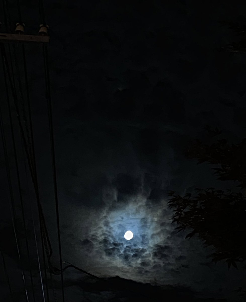 背景フリー素材 Twitter Search