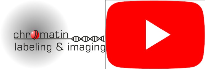 This year we are lunching our YouTube channel. It contains high quality videos of cell imaging and chemistry experimental results. Need to see how our probes perform at higher resolution, look here: youtube.com/channel/UCgVIi…