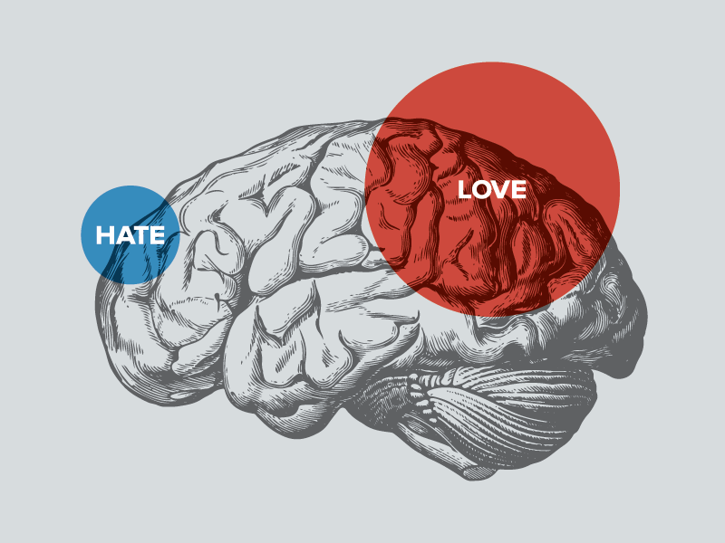 AimanPsikologi's tweet photo. Bahagian otak kita yang memproses emosi LOVE dan HATE ada berkongsi bahagian yang sama.

Sebab itu rasa CINTA yang amat boleh bertukar menjadi BENCI yang amat.

Selalunya terjadi apabila cinta tak berbalas (atau dikhianati), sehingga menjadi dendam.

#TriviaAP https://t.co/dlbHDKdmzy