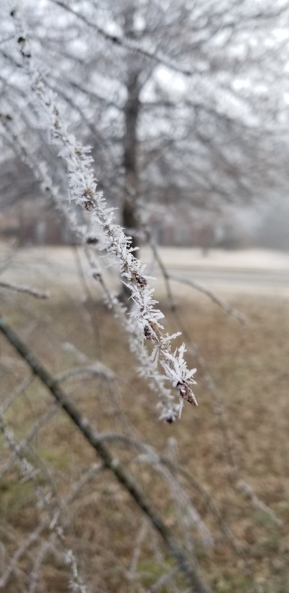 jrunyans's tweet photo. Got some pretty cool winter happening this morning @simpsonwhnt @valleywx https://t.co/zyMfAyw1gu