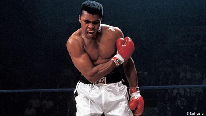 FunnelLab's tweet photo. No cuentes los días, haz que los días cuenten.
Muhammad Ali.

#FraseDelDia https://t.co/t5tawXzejb