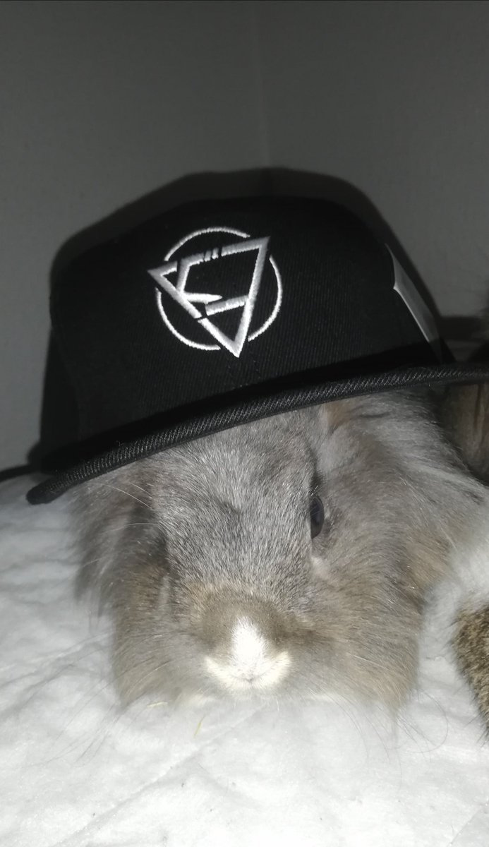 Doing a giveaway to celebrate my debut in <a href="/NLClol/">Arozzi NLC</a>. You can win a  <a href="/kovaesports/">KOVA ❤️‍🔥</a> Straight cap and 2x 20€RP!

To participate follow me on Twitter and like + rt this post ❤️

Winner will be announced 14.2