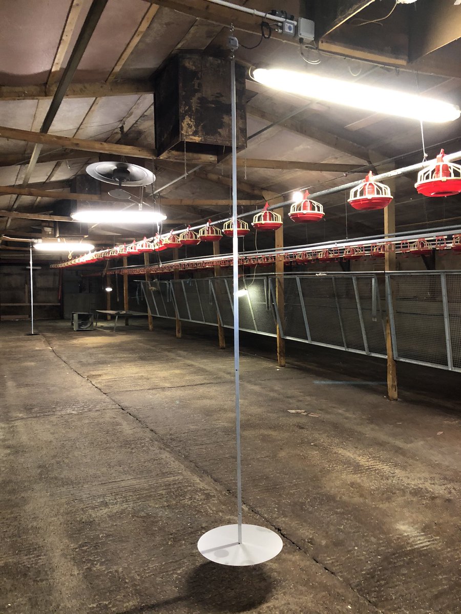 Been a busy few days. Another COBOT pallet stacker fitted and 2 bird weighers in a 32k pullet rearing unit.