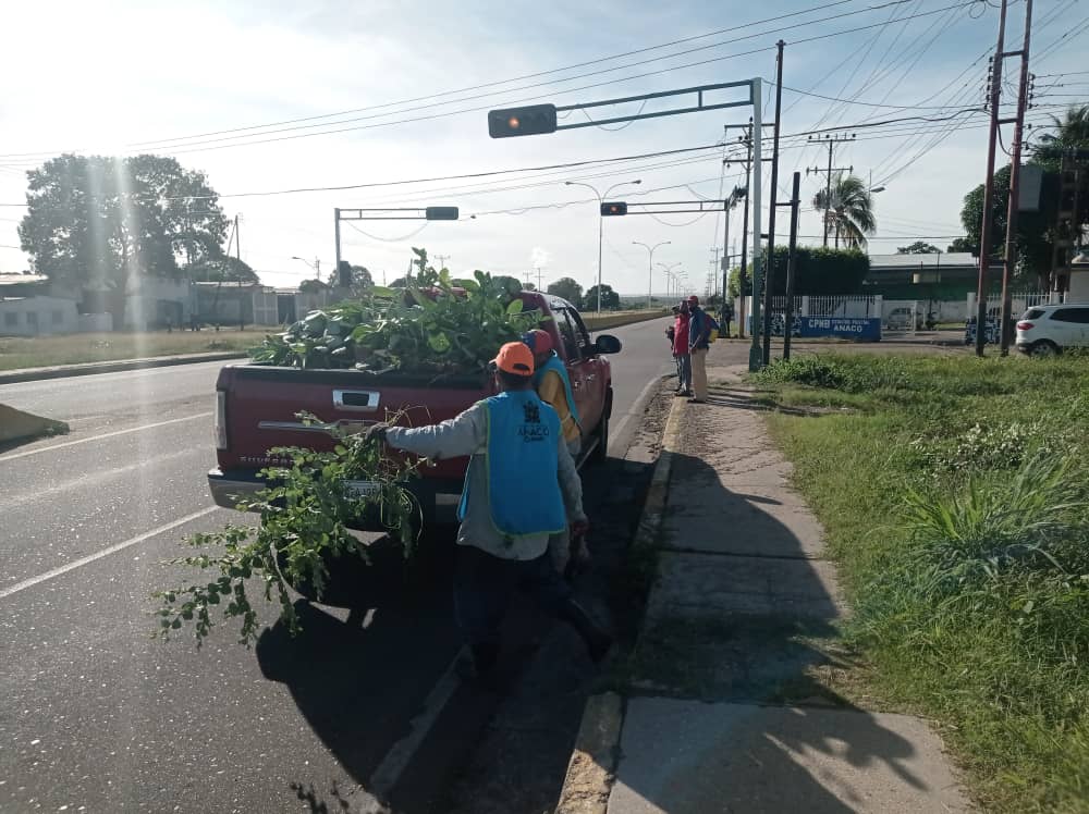 AlcaldiaAnaco's tweet photo. ¡Seguimos Trabajando para Tener un Mejor Entorno para Todos😍🤗!

Nuestras cuadrillas de #AnacoLimpio💚 continúan desplegadas en las avenidas del municipio, para hacerlas lucir limpias y dignas para ti, cuando recorras cada uno de ellas.

✅ Av. Miranda 
✅ Av. Boyacá
✅ Av. JAA https://t.co/quqjPQEdzw