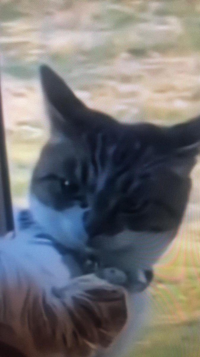 BЯӨKΣП tweet media