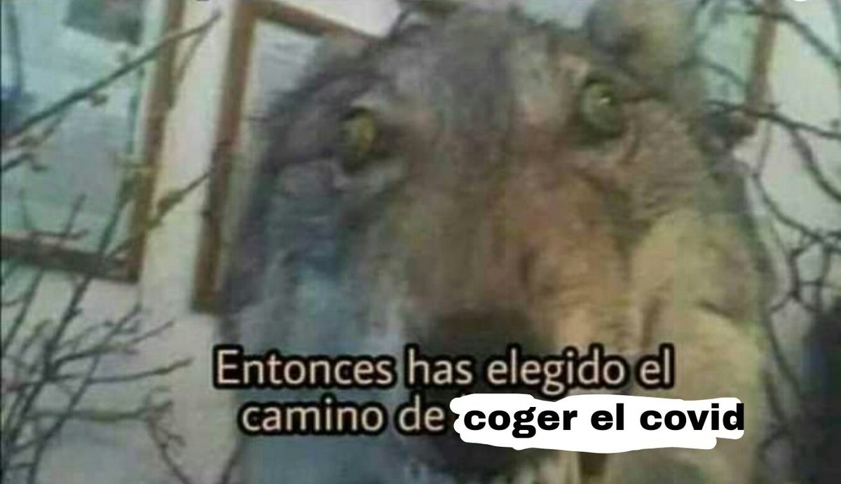 avna_con_a's tweet photo. Yo: salgo fuera un momento a coger mejor conexión
Mi abuela:

#AVNA_FUA 
@daikeldfc92 @SanMemero https://t.co/8eXbN4cyCu