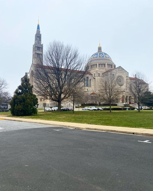 CUAlibraries's tweet photo. #basiligram https://t.co/wuQHhKKXOZ