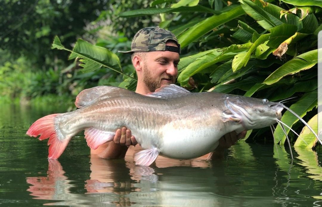 itv4MonsterCarp's tweet photo. The latest, and most epic, series of @itv4monstercarp ...... Series 5 is being REPEATED on ITV4 starting Tonight, Tune in at 7.30pm to enjoy episode 1, the 90 minute long 🇹🇭Thailand special.
-
-
-
-
-
@alihamidi @TomDove11
@neilspoons @MainlineBaits @kordaofficial @DelkimLtd https://t.co/QCkmfUijOG
