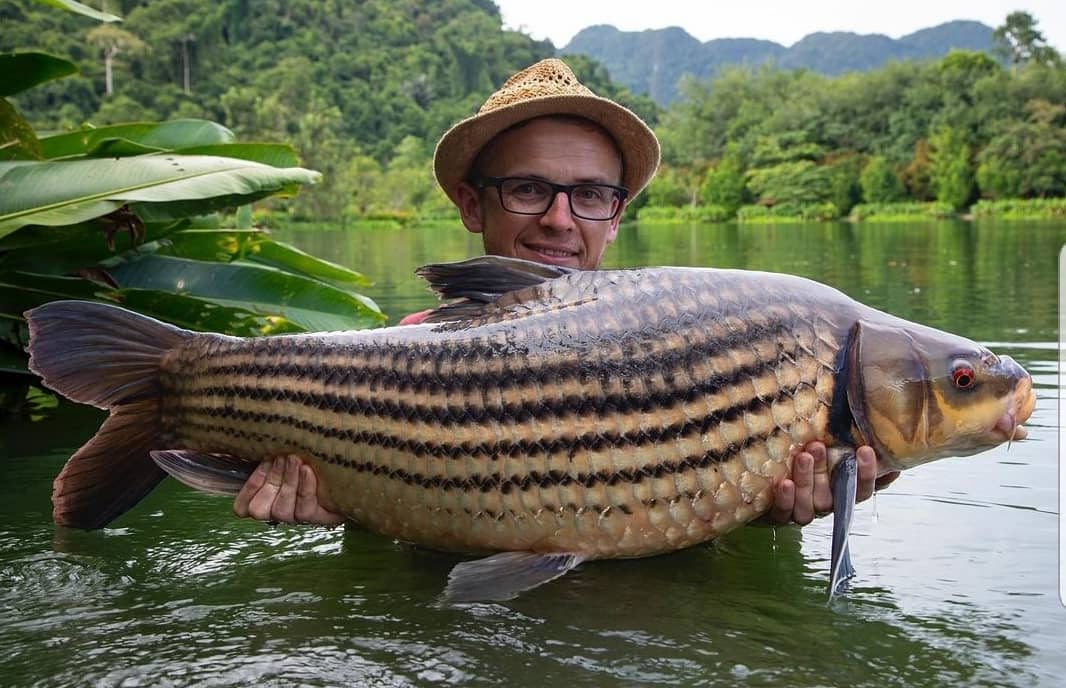 The latest, and most epic, series of @itv4monstercarp ...... Series 5 is being REPEATED on ITV4 starting Tonight, Tune in at 7.30pm to enjoy episode 1, the 90 minute long 🇹🇭Thailand special.
-
-
-
-
-
@alihamidi <a href="/TomDove11/">Tom Dove</a>
@neilspoons <a href="/MainlineBaits/">Mainline Baits Official</a> @kordaofficial <a href="/DelkimLtd/">Delkim</a>