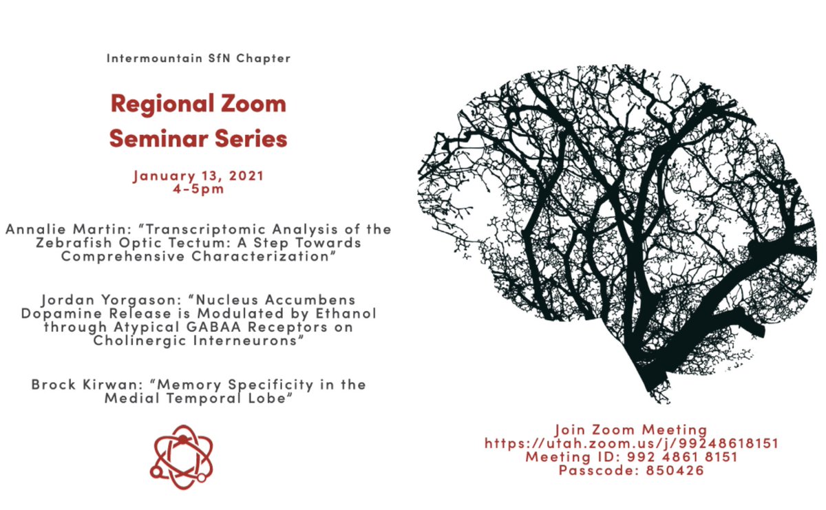 UofUNSI's tweet photo. TODAY - First SfN Chapter Seminar, from 4:00 - 5:00 PM. Please find the full speaker lineup and zoom information in the flyer below. Please share widely and encourage your lab and colleagues to join the SfN chapter through the website https://t.co/SiLnNVrk57 https://t.co/ZllMVVivxr