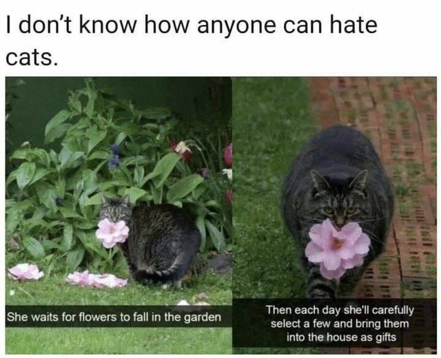 MemesDispenser's tweet photo. #memesdaily #memes #meme #funny leave follow for more daily memes https://t.co/lbmxZbO2AN