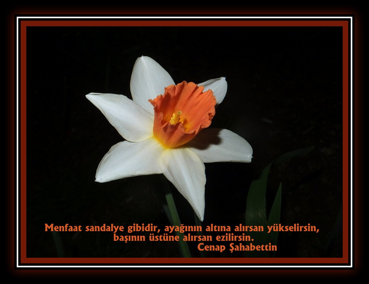Mehmet Kandemir (@m_kandemir_tr) on Twitter photo 