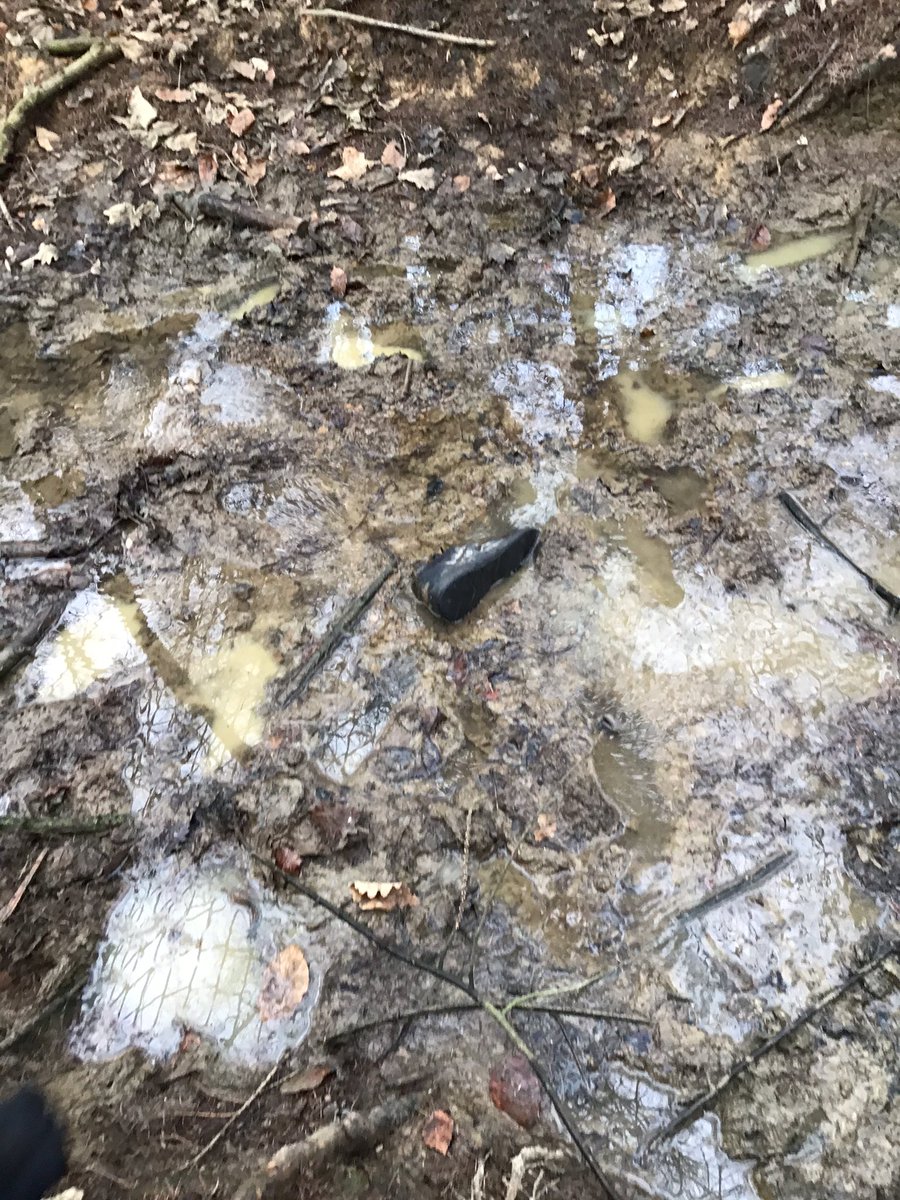Motacita's tweet image. Staff and pupils @ReachAcademyUK enjoying their sessions at Forest school. It’s all about getting stuck in and leaving a footprint albeit a muddy one 🤪Group 3
#outdoorlearning #bravingthecold #allsmiles #survivalskills