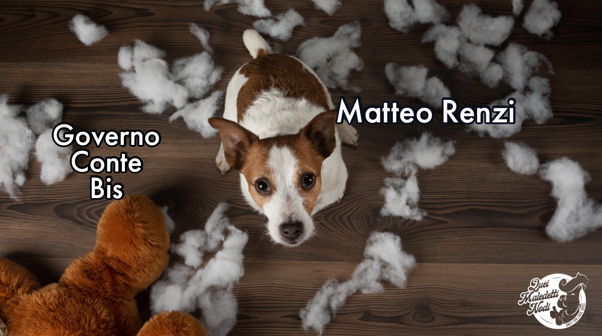 QueiMaledetti's tweet photo. Avete presente quando apri la porta di casa e ti ritrovi una scena come questa? Oggi è bastato accendere la tv! #crisidigoverno #conte #ConteTer #Renzi #13gennaio https://t.co/IO6cWyaL1J