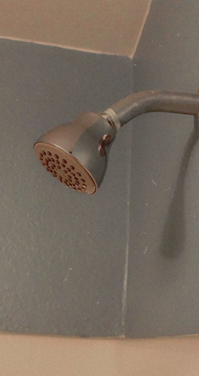oops_itsmel's tweet photo. I’d like to urge you all to make sure to ONLY take a 10-15 minute shower in order to CONSERVE our water supply. @RVHSAPES #waterwednesday #sustainabilitychallenge https://t.co/14Z5u28O7S