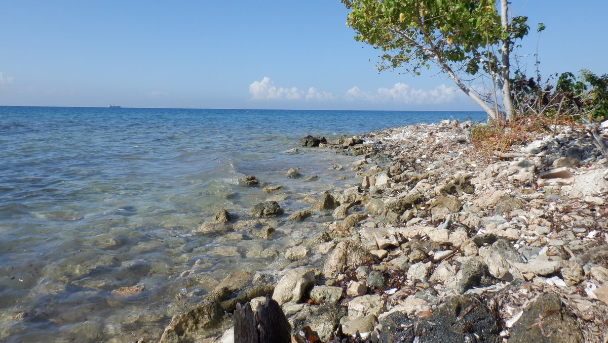 4ocean tweet picture