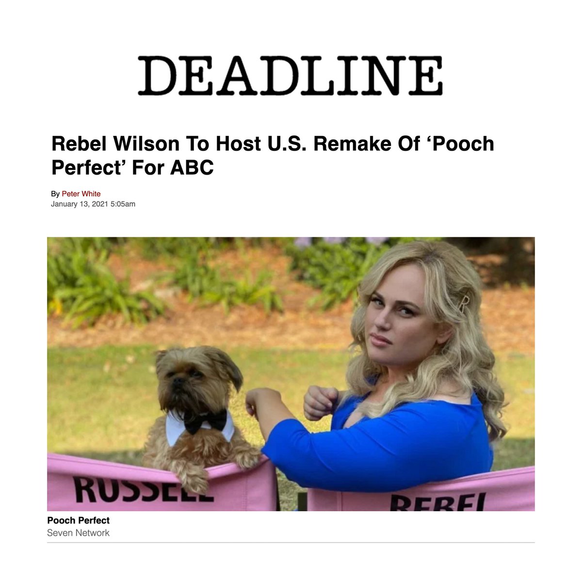 Paw-some NEWS! 🐩 #PoochPerfect is coming to ABC! Loved casting this show with our friends at @abcnetwork, and we are so proud of the talented groomers we had the privilege of working with!