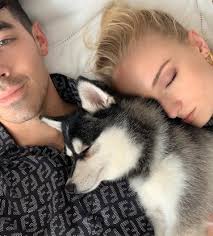joe jonas as puppies, a very important thread 