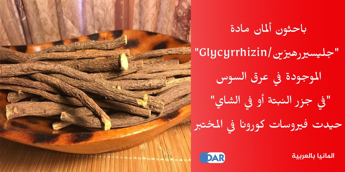 DeArabisch's tweet photo. هل يمكن القول أنه سيتم القضاء على فيروس كورونا قريباً دون لقاح أو دواء!

باحثون #ألمان من جامعة إيسن قالوا أن العرق سوس قضى على فيروسات #كورونا في المختبر
#المانيا_بالعربية https://t.co/6JRvCeFgy0