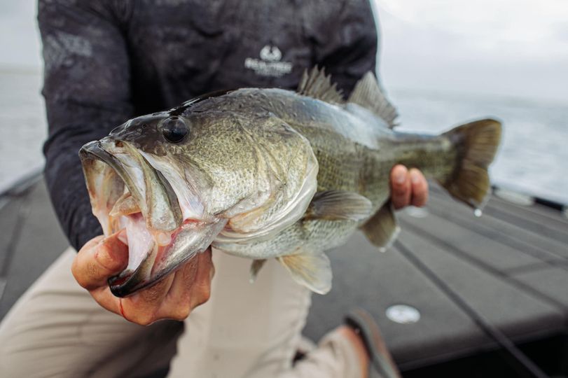 Realtree's tweet image. A face only a fisherman can love 🎣

 #RealtreeFishing #Walmart