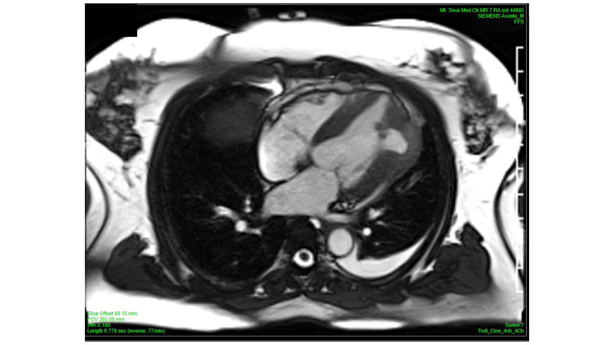 Panagiota Christia tweet media
