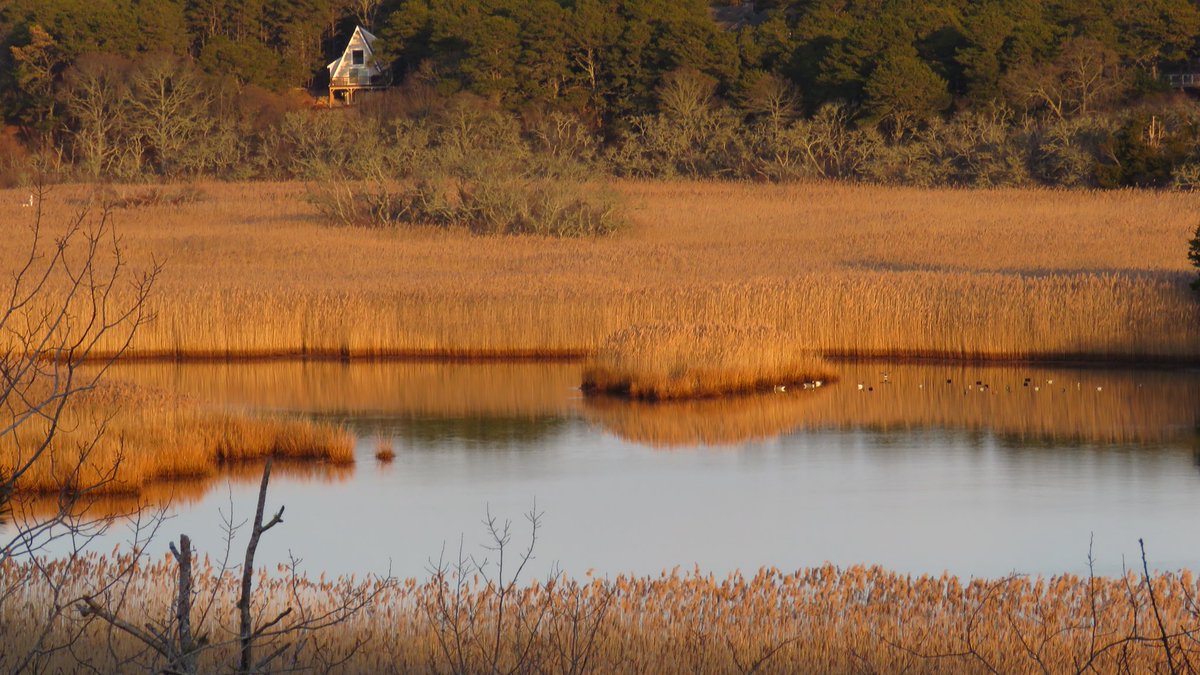 CapeCast tweet media