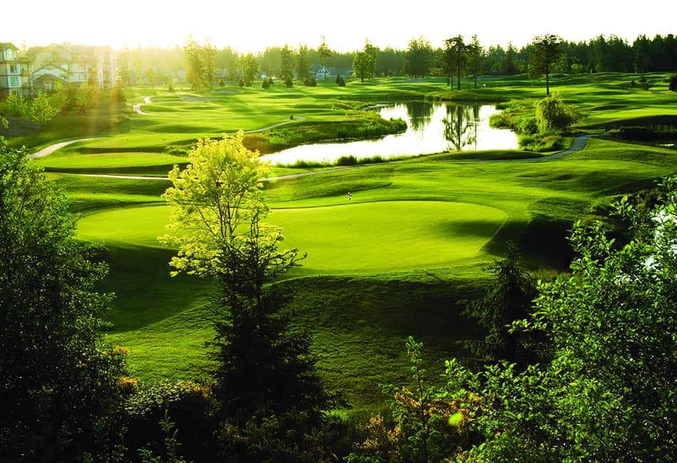 Jared Siminoff tweet media