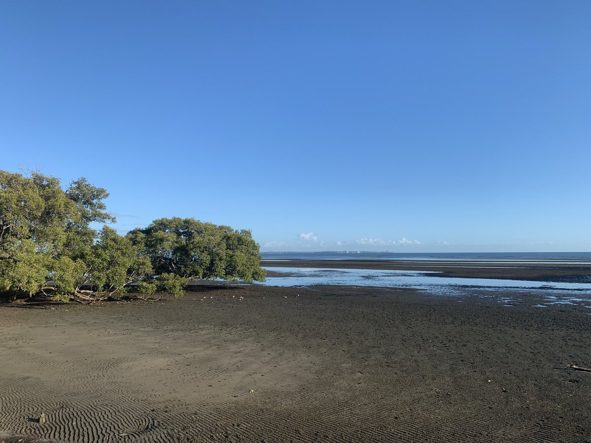 HomesAtMetacoda's tweet photo. A beautiful morning at Boondall Wetlands, Nudgee Beach
#brisbane #viewsofbrisbane #nudgeebeach #wetlands https://t.co/kEq0ogaEDw