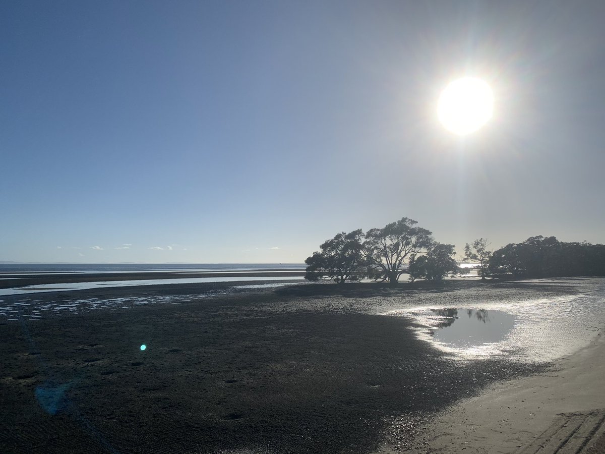 HomesAtMetacoda's tweet photo. A beautiful morning at Boondall Wetlands, Nudgee Beach
#brisbane #viewsofbrisbane #nudgeebeach #wetlands https://t.co/kEq0ogaEDw