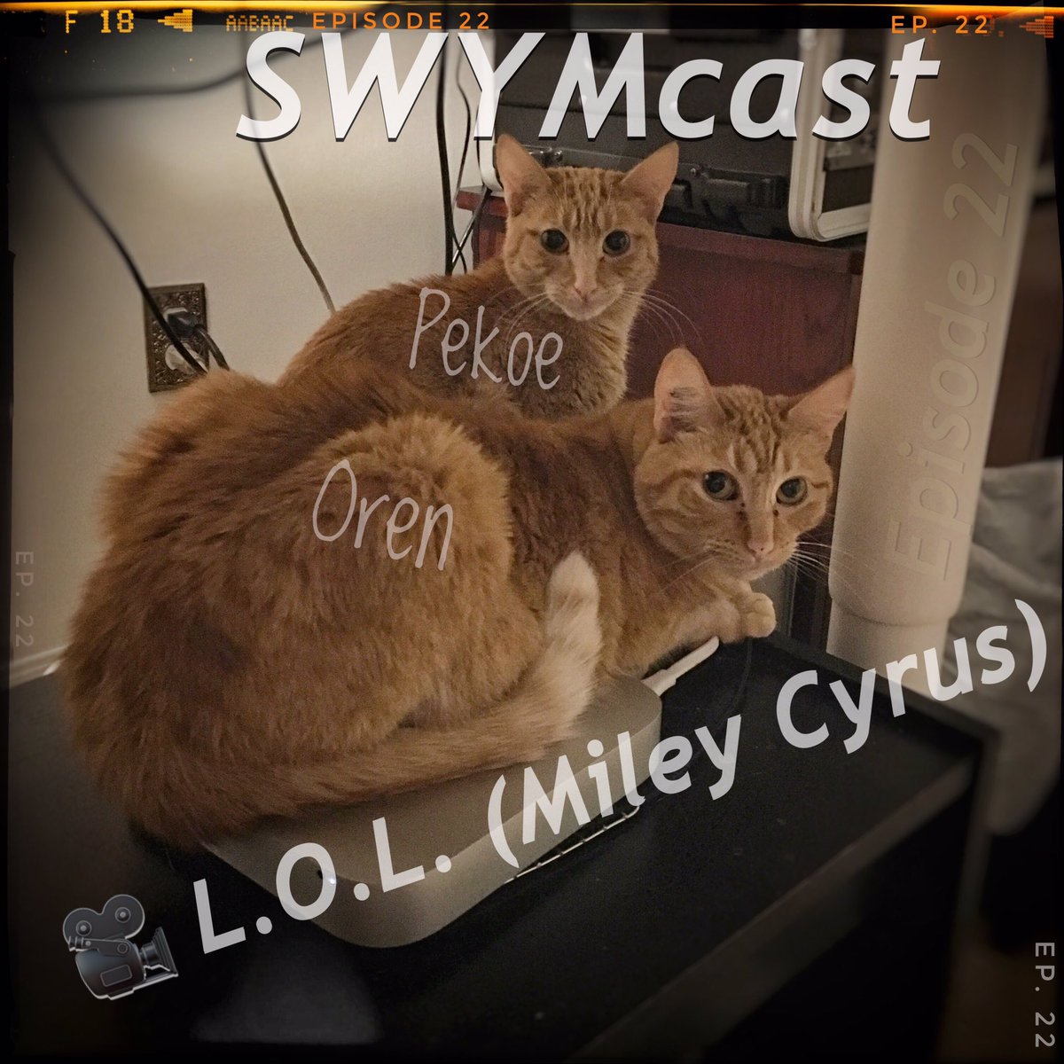 Styrmonix tweet media