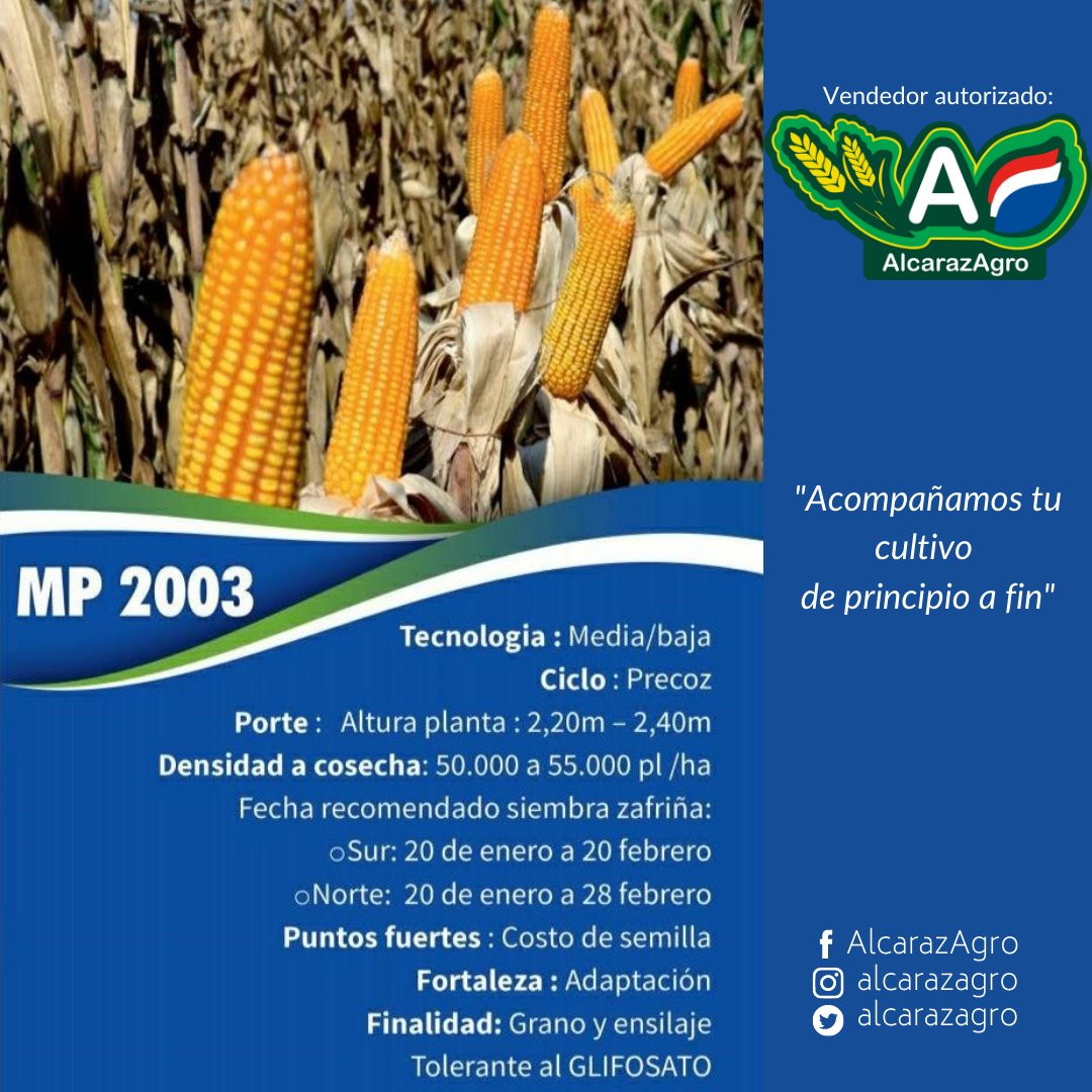 ingrapar's tweet photo. Grandes ventajas con semillas de producción nacional que además: 
- Poseen perfecta adaptación al suelo y clima del Paraguay 🇵🇾
- Son semillas uniformes de alto vigor 
Elegí #AlcarazAgro porque "Acompañamos tu cultivo de principio a fin" 🇵🇾🌽👨🏼‍🌾👩🏻‍🌾 https://t.co/iHgtLGtQaw