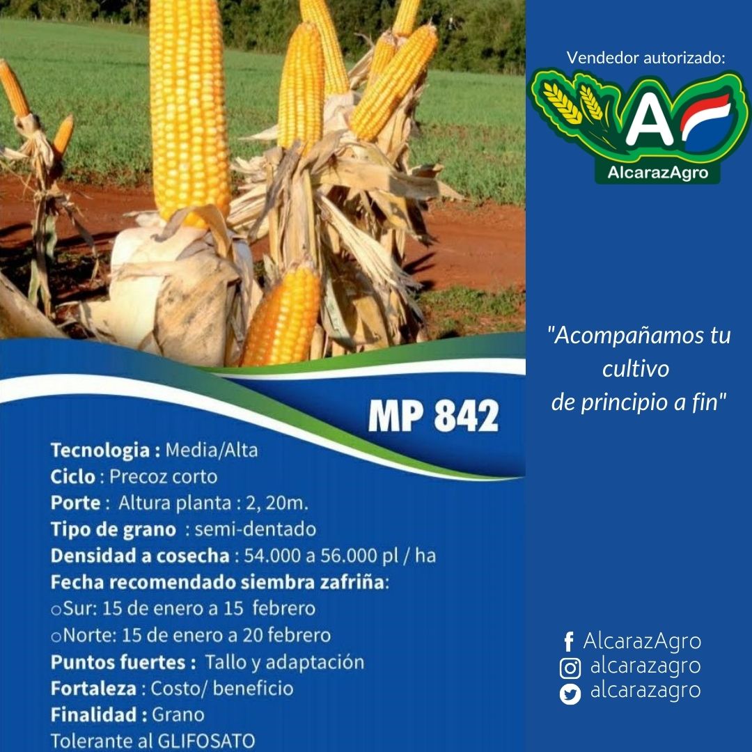 ingrapar's tweet photo. Grandes ventajas con semillas de producción nacional que además: 
- Poseen perfecta adaptación al suelo y clima del Paraguay 🇵🇾
- Son semillas uniformes de alto vigor 
Elegí #AlcarazAgro porque "Acompañamos tu cultivo de principio a fin" 🇵🇾🌽👨🏼‍🌾👩🏻‍🌾 https://t.co/iHgtLGtQaw