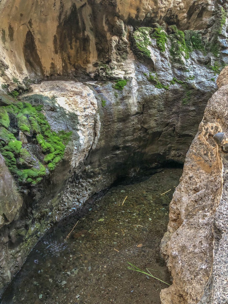 الطبيعة مجرد وسيلة رمزية بسيطة أهدانا الله إيّاها فقط كي نأخذ من خلالها فكرة عن الجنة.

•الصور من بعض الاماكن الجميله بوادي الجهاور قرية الحيلين بولاية السويق.
•تصوير:محمد الجهوري.
<a href="/Scyc19/">اللجنة الشبابية بنادي السويق</a> <a href="/Nas8Jhw/">ناصر الجهوري</a> <a href="/k_k_Aljahwari/">خالد الجهوري⁦ Khalid Aljahwari</a> <a href="/WeatherOmanya/">الخيمة العُمانية🇴🇲</a> <a href="/Metar_Oman/">ميتار عمان ⚡</a>