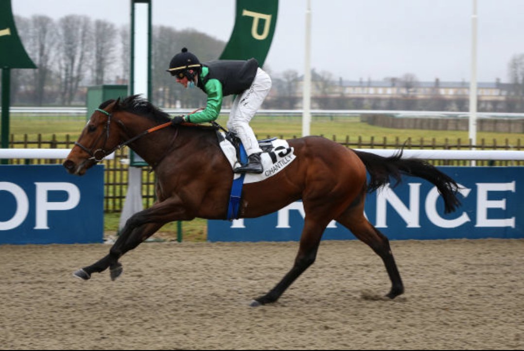 InfoArqana's tweet photo. 🏆 Another winner at @fgchantilly today: 𝑷𝑹𝑶𝑴𝑬𝑻𝑬𝑶 broke his maiden for Daniele Zarroli. This son of #WarCommand was bought by his owner and trainer at the October Yearling Sale from @harasdhaspel. Congratulations! https://t.co/UkaxFdsIrO