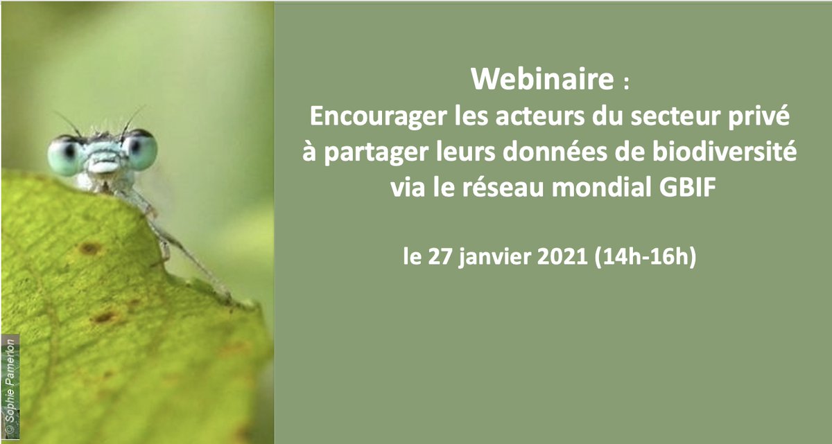 gbiffrance's tweet photo. Le @gbiffrance vous invite au webinaire : « Encourager les acteurs du secteur privé à partager leurs #données de #biodiversité via le réseau mondial GBIF », le mercredi 27 janvier 2021 de 14h à 16h
https://t.co/lgVFRok22F
@GBIF @INPN_MNHN @AFD_France @Imerys @Eurovia_Group https://t.co/ZxUxQJKuNA