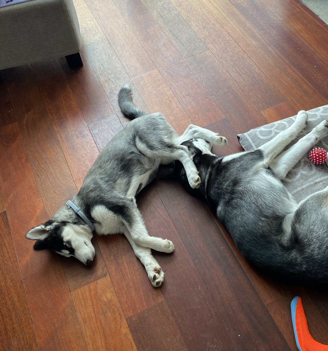 Quién para dormir así