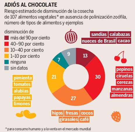 AmigosTierraEsp's tweet photo. ¡Ya es bastante dura la vida para que aún encima nos quedemos sin chocolate! 🍫
El abuso de #pesticidas diezma a los polinizadores y acarrea peligrosas consecuencias en la producción de alimentos. Te lo contamos en nuestro #AtlasInsectos 🪲 https://t.co/YKXJpW1YRa #Biodiversidad https://t.co/PBmG455hED