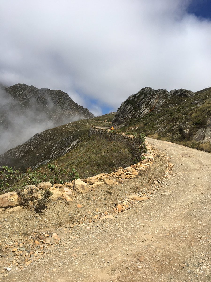 Robyn de Groot tweet media