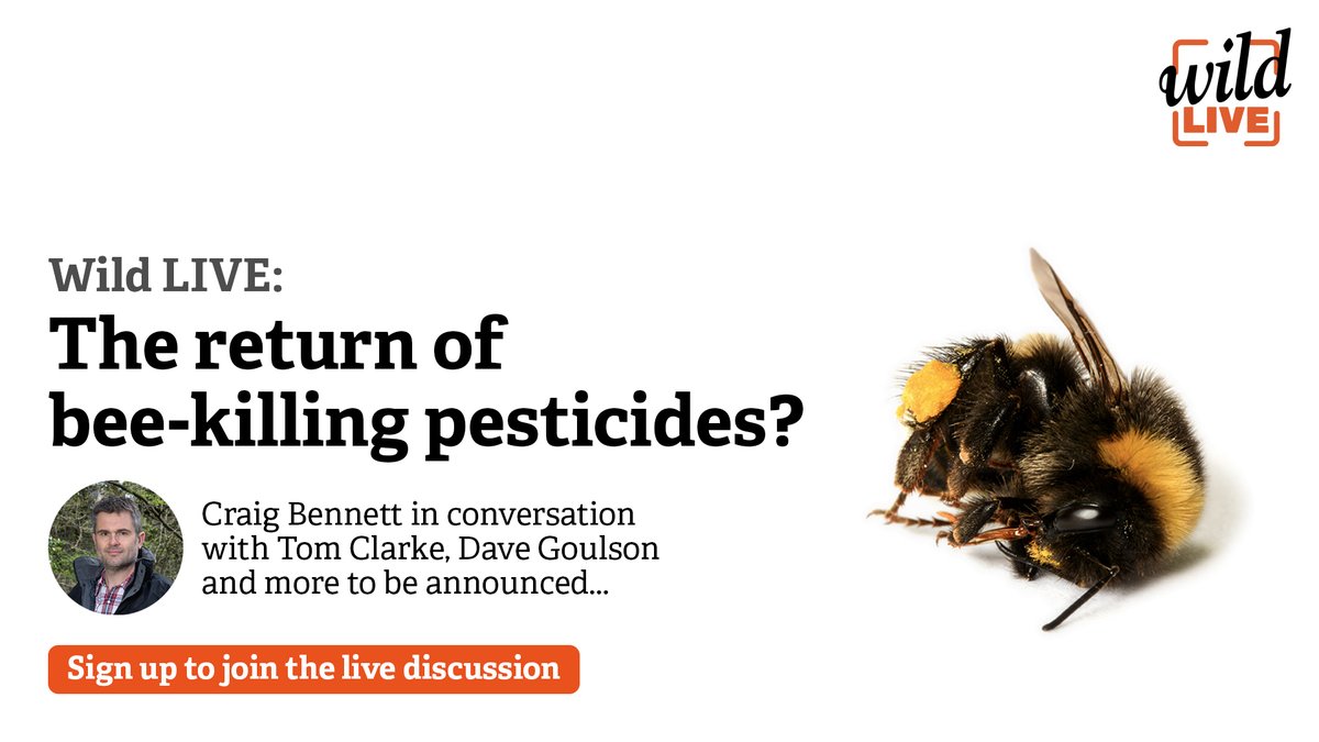 Join our virtual event next Tuesday! 
Each month we're joined by special guests to chat about some of the important issues relating to wildlife. This month it's all about the recent government authorisation of a neonicotinoid to treat sugar beet. 👇🐝
wildlifetrusts.org/events/wild_li…