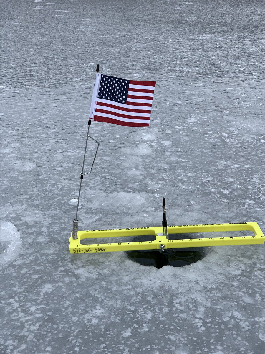 Flying the colors on the ice! God bless all the Patriots!