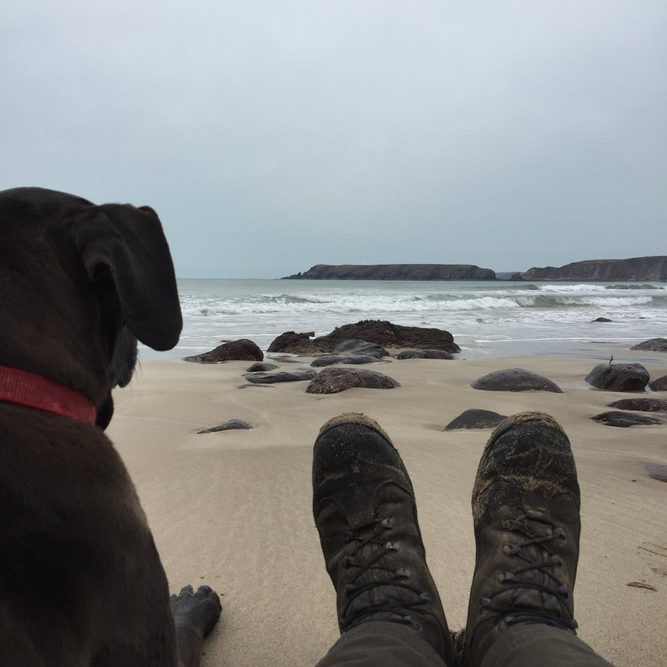 Missing the view from my desk a couple months ago 
#writing #WritersCafe