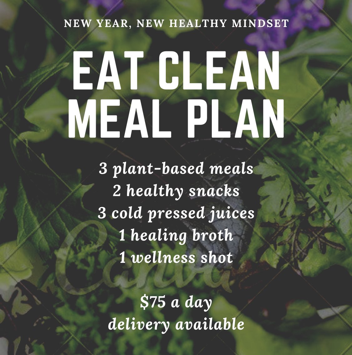 Plant-curious? Looking to kickstart a healthy mindset? Try our Eat Clean Meal Plan. Pick up or delivery JANUARY 19th 💚rawpulpandgrind.com/raw-reboot-cle…