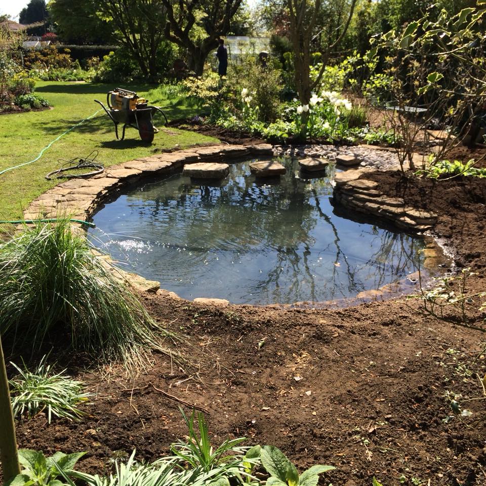 AquaLiners Direct tweet media