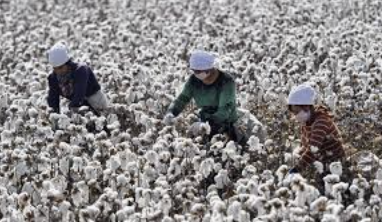 HTLegalCenter's tweet photo. BREAKING NEWS: U.S. Customs issues region-wide import ban on all cotton and tomato products from Xinjiang, China. The U.S. investigation found multiple indicators of forced labor inflicted upon the Uyghur people. NGOs had petitioned for withhold release order (WRO) on cotton. https://t.co/4A6EpRdD0w